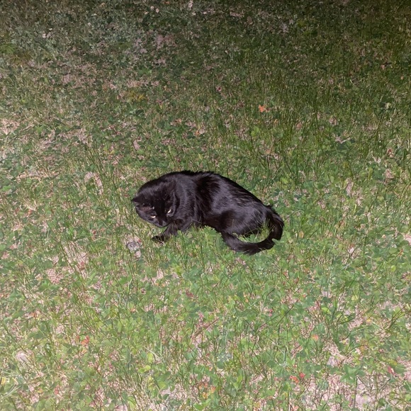 Meet your Posher, Alexandre - Picture 1 of 1